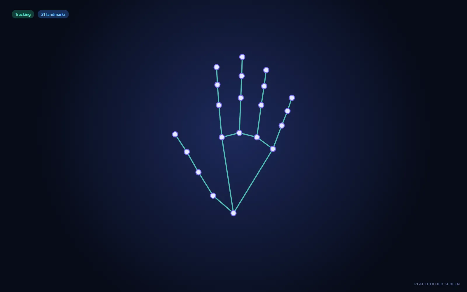 Placeholder for the hand-tracking view
